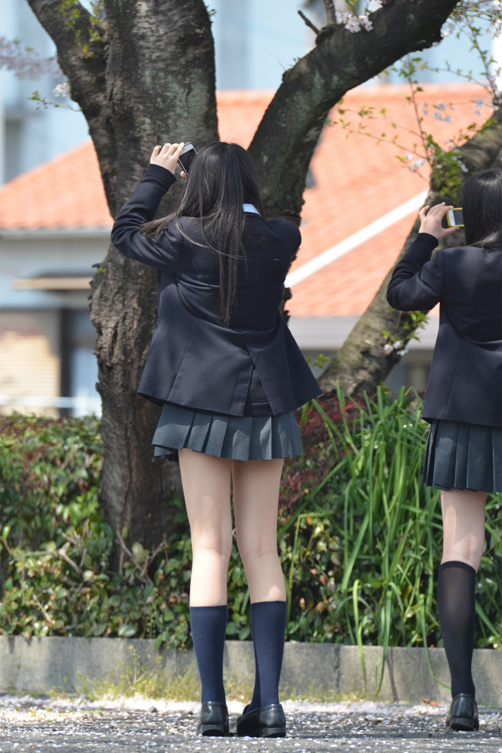 【街撮りJKエロ画像】ミニスカートで登下校してる制服女子校生の太ももをガン見して興奮ｗｗｗ-01