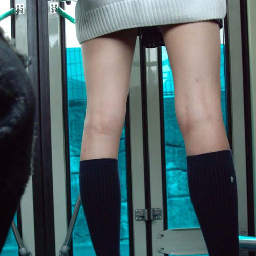 【JK美脚エロ画像】制服女子校生のスカートから露出してる生足がすっげぇ興奮するわｗｗｗ